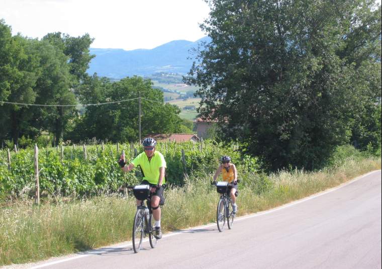 Biking by vineyards